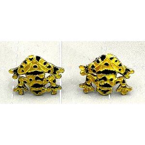 Sterling Poison Dart Frog Enameled Post Earrings Yellow and Black